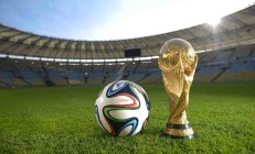 九游体育平台-张本智和独木难支，波兰军团碾压韩国展团队统治力