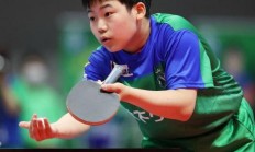 9you娱乐-日本小将迅速崛起，展现技术天赋！的简单介绍