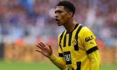 九游娱乐官方网站-多特蒙德击败劲敌，走向胜利之路的简单介绍