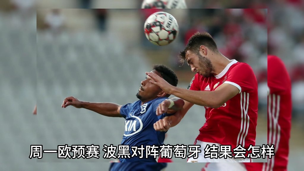 意大利队欧预赛击败波黑，实现连胜的简单介绍