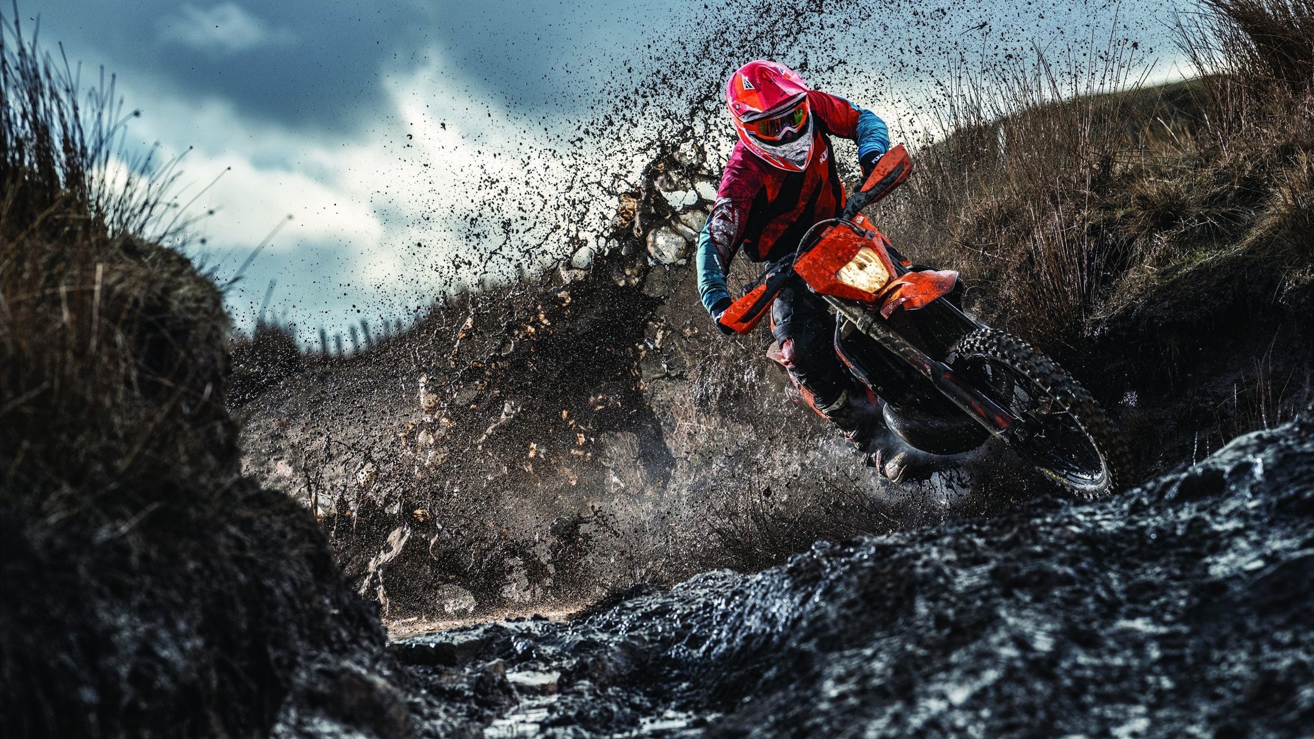 节奏为王，武切维奇在抢七之夜的绝对掌控